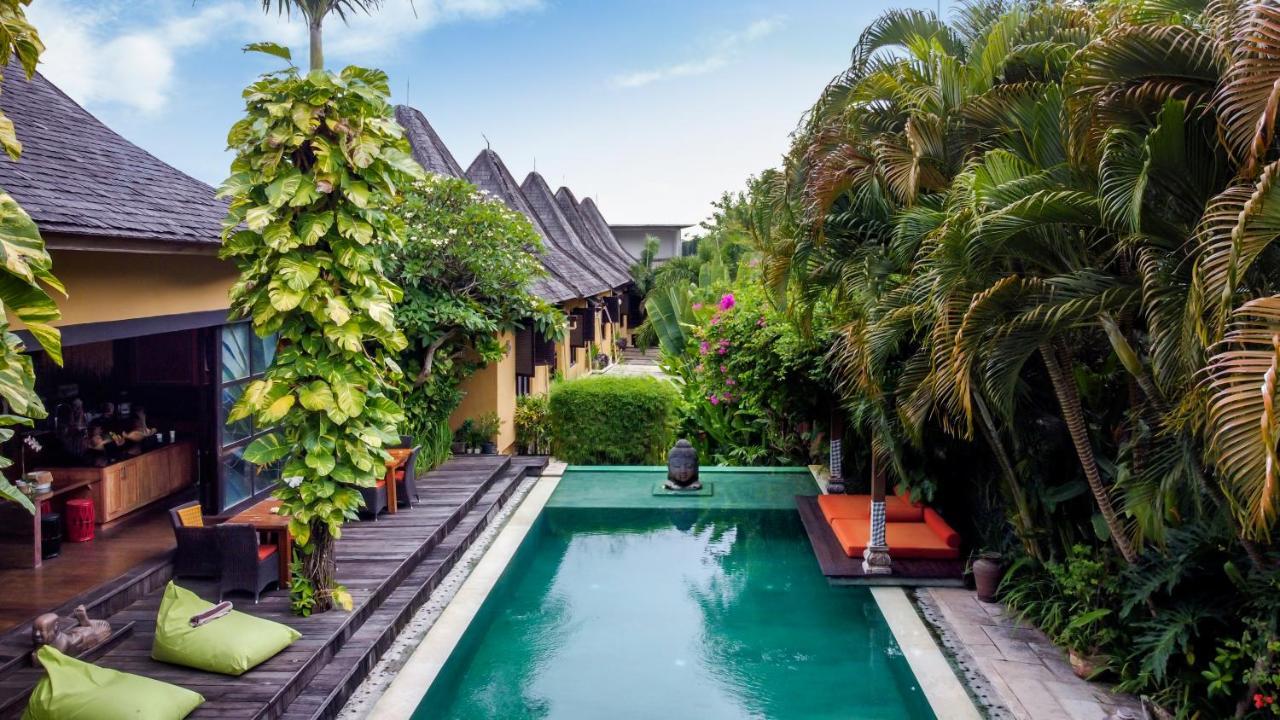 Lautan Kupu - Kupu Guest house