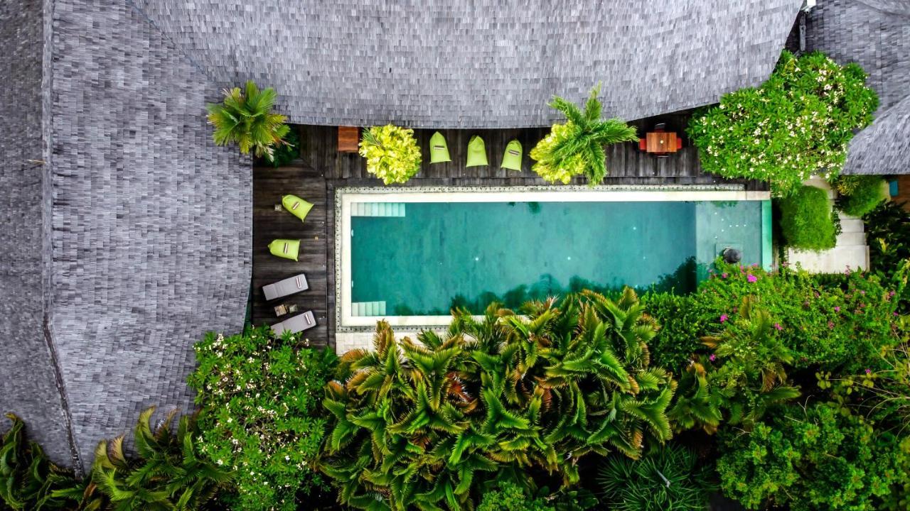 Lautan Kupu - Kupu Guest house